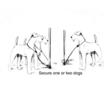 Pet Theft Epidemic Remedy Announced: StayBoy Lock